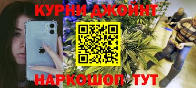 дживик Кингисепп
